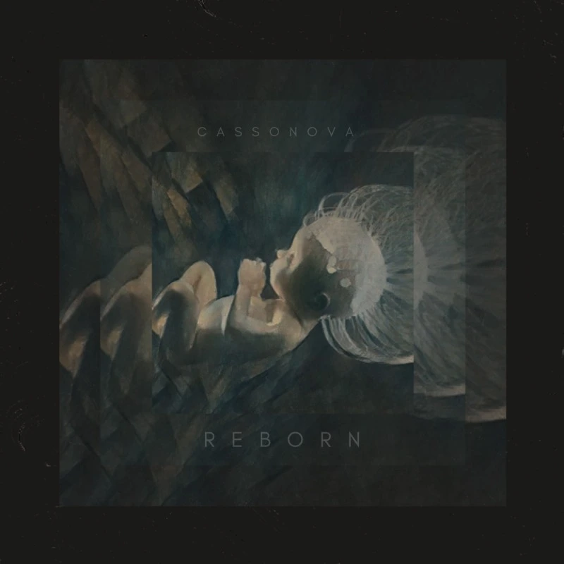 Reborn cover art