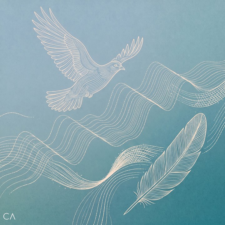 Let You Go cover art